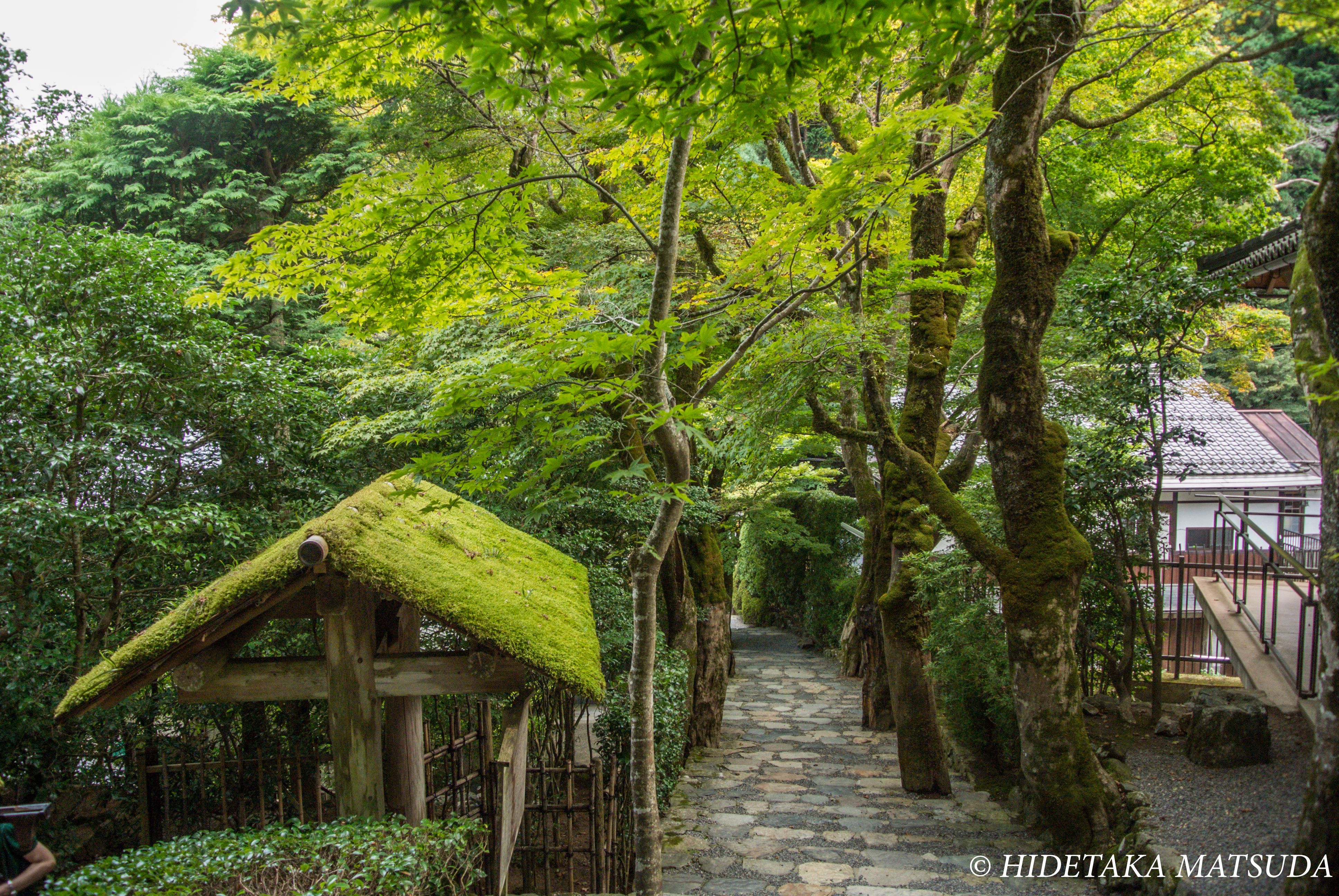 寂光院