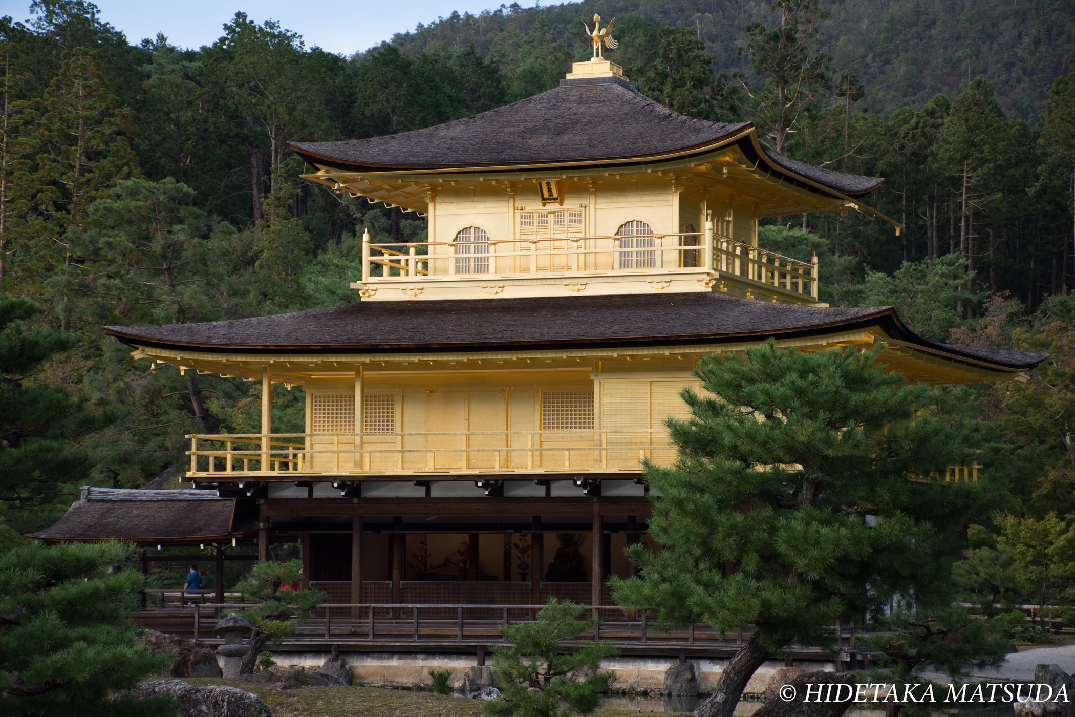 京都　金閣寺