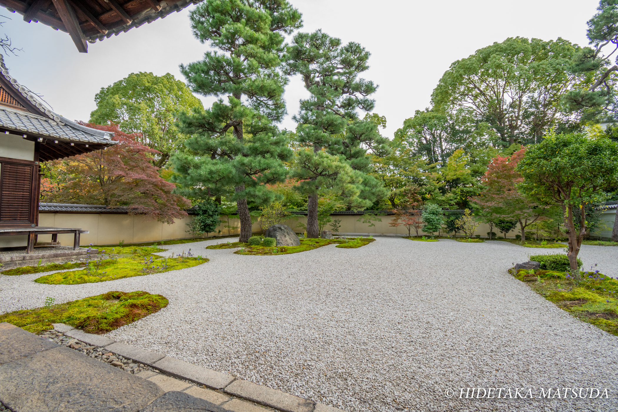 廬山寺