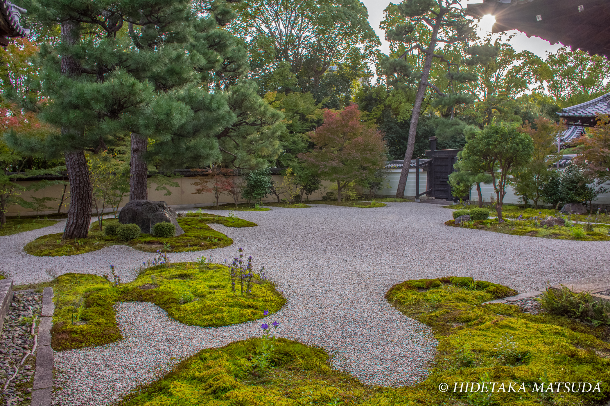 廬山寺