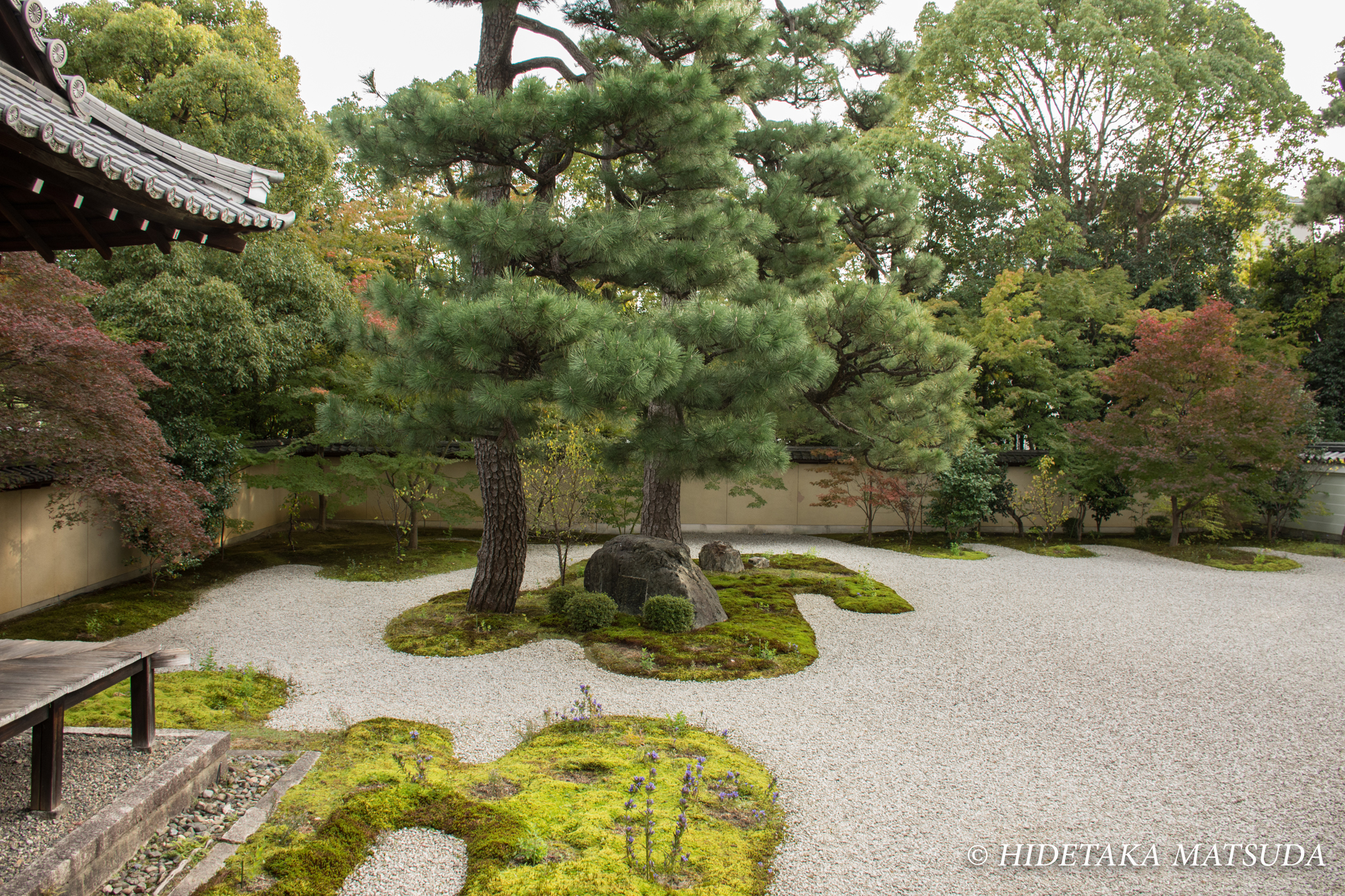 廬山寺